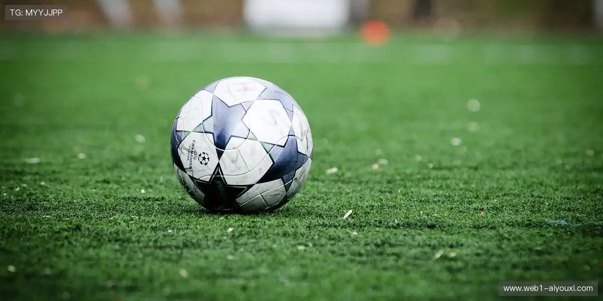 🌍 国际赛事对标,提升全球竞争力!